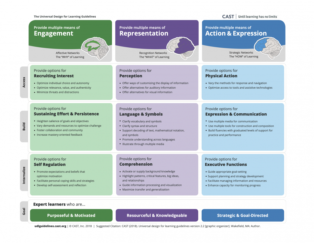 Universal Design for Learning Guidelines